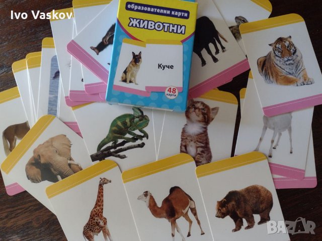 Комплект 48 броя образователни карти с животни