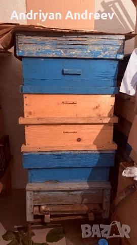 2 броя пчелни семейства и инвентар, снимка 6 - За пчели - 53749387