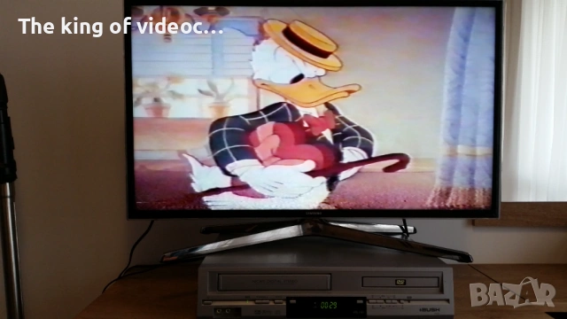 VHS Видеокасета с най-известните анимации :Гуфи , Доналд,  Чип и Дел и други VHS, снимка 16 - Анимации - 53173763