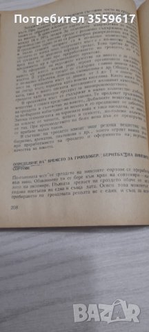 Практическо лозарство и винарство, снимка 5 - Специализирана литература - 41574000