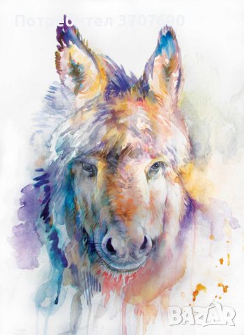 Акварвелни портрети на домашни любимци и други животни , снимка 6 - Други услуги - 42121326