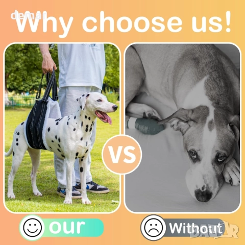 Регулируем колан за кучета, опора за задни крака, рехабилитация, L, снимка 5 - За кучета - 52278589