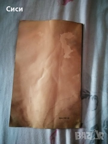 Нашите млади питомци, снимка 2 - Други - 38815075