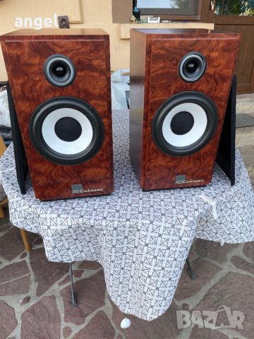 Cabasse, снимка 4 - Тонколони - 41893791