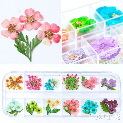 РАЗПРОДАЖБА - Сухи цветчета за маникюр – микс