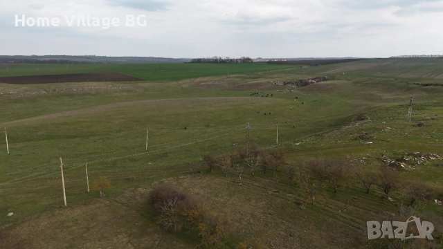 Ъглов парцел село Козлодуйци, област Добрич, снимка 8 - Парцели - 53266957