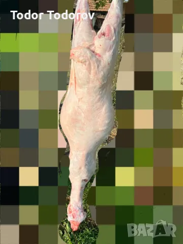 Продавам агнета, снимка 1