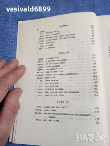 ANNA SEWELL - BLACK BEAUTY , снимка 6 - Художествена литература - 48483264