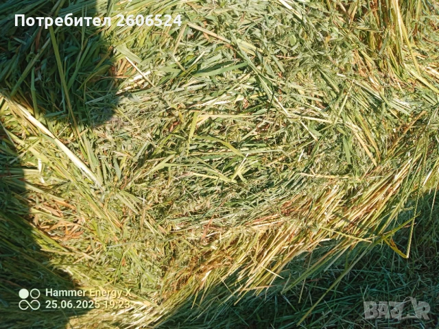 Рулонни бали овес., снимка 10 - За селскостопански - 48163698
