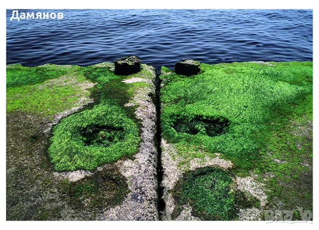 Авторски постери  Лимитирани серии  Размери по избор, снимка 5 - Картини - 47540497