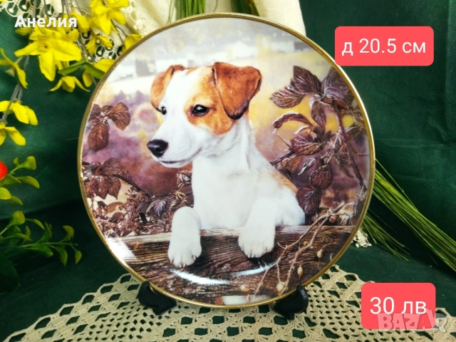 Чинии за стена Джак Ръсел -колекция