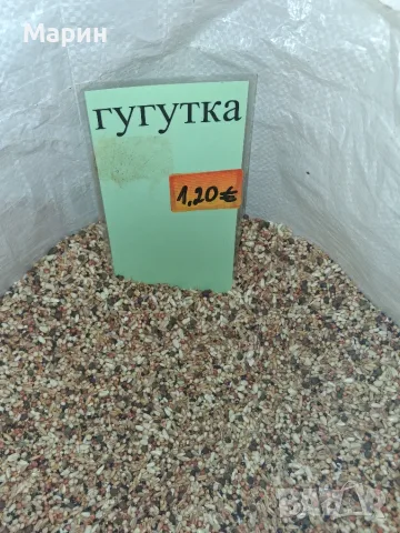 Смес Гълъби Гугутки
