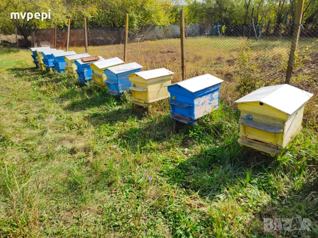 Кошери Дадан Блат и рамки , снимка 13 - За пчели - 45187568