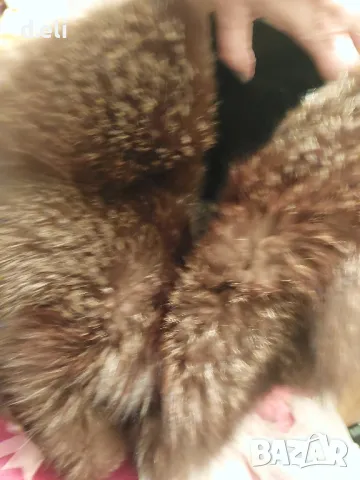 Голяма шал яка от Сребърна Лисица, снимка 5 - Шалове - 48393345