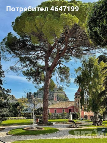 Почивка на остров Корфу Hotel Potamaki Beach 3*  Варна , Шумен, Велико Търново, Севлиево ,София, снимка 3 - Автобусни екскурзии - 53814157