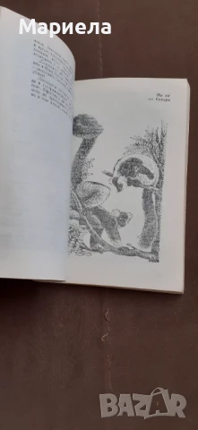 Чудеса на природата , снимка 4 - Енциклопедии, справочници - 50879287