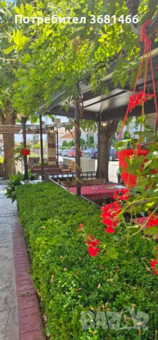 Заведение под наем, снимка 5 - Заведения - 53727939