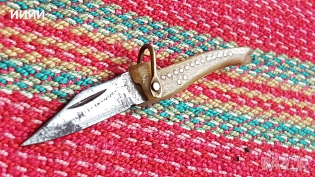 Ножка мини сойка