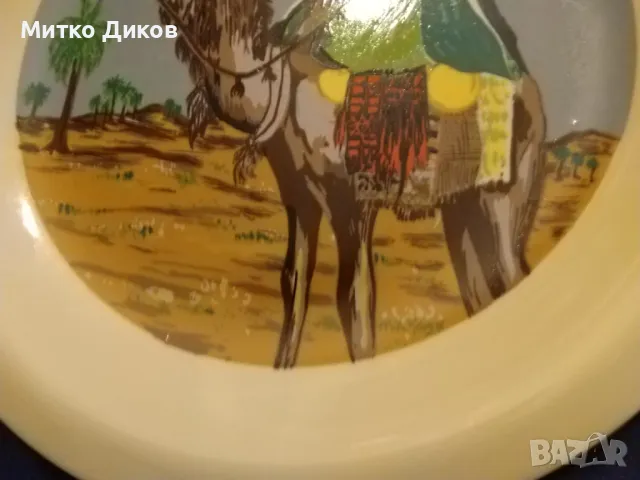 Порцеланова чиния нова на Дубай фи 265мм и на рисунката вътре 200мм, снимка 4 - Декорация за дома - 48103101