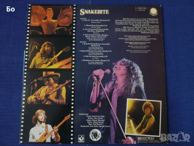 грамофонни плочи WhiteSnake , снимка 6 - Грамофонни плочи - 52474021