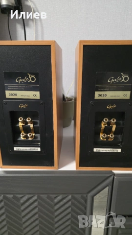 Тонколони Gale 3020, снимка 2 - Тонколони - 53697664