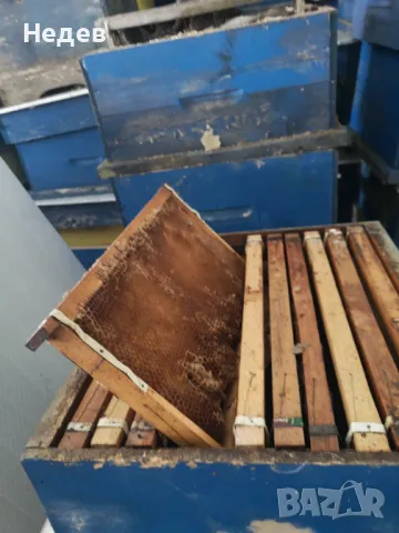 Продавам пчелни кошери, снимка 4 - Пчелни продукти - 50071516