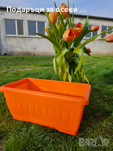 Цветни сандъци за цветя 30см! Промоция 7бр цветни сандъци за 19.90лв, снимка 6 - Саксии и кашпи - 44707404