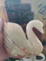 Лебед от мрамор, снимка 8