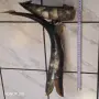 Стара ваза от рог. , снимка 4