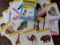 Комплект 48 броя образователни карти с животни, снимка 1 - Образователни игри - 34703943