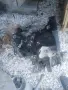 ск. кутия за фиат Гранде пунто, снимка 2