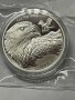 Сребро 1 oz Златен орел - 2023 - Самоа, снимка 3