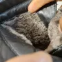 FRETZ  номер 42 топли  зимни боти от естествена кожа , снимка 9