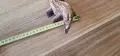 статуетка / дърворезба, снимка 7