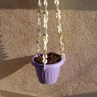 Верижка за окачане, снимка 1 - Градински цветя и растения - 35774391