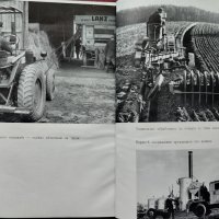 Германските земеделски кооперации въ изграждането на земеделското стопанство Хансъ Дитмеръ, снимка 3 - Антикварни и старинни предмети - 40861689