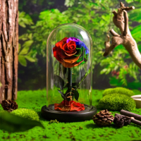 Омагьосаната роза – лимитирано издание Вечна роза - Цветна радост в подаръчна опаковка, снимка 5 - Стайни растения - 44560338