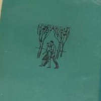 Криста Волф - Разделеното небе (1965), снимка 1 - Художествена литература - 39317945