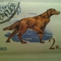 Стари марки с животни, снимка 8 - Филателия - 41476781