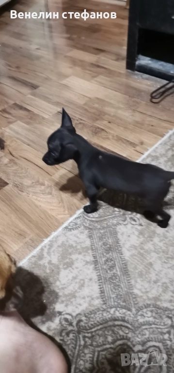 Продават се, снимка 1