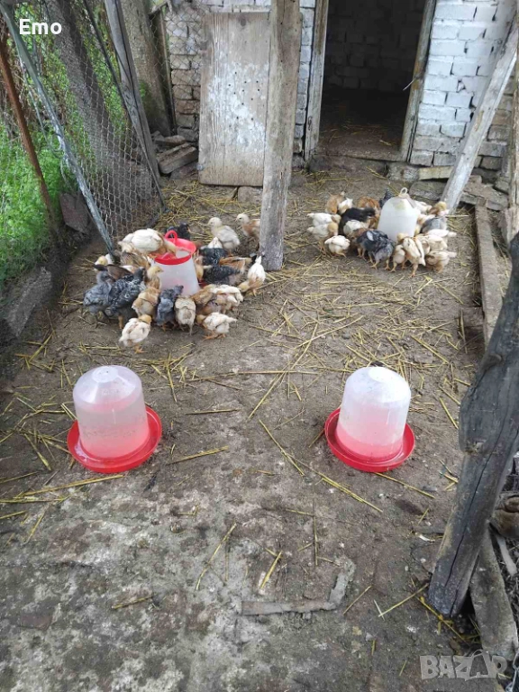 продавам пилета на 1 м и на 3, снимка 1