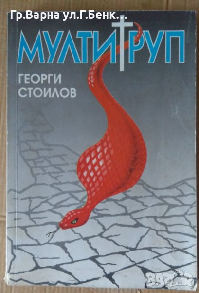 Мултигруп  Георги Стоилов, снимка 1