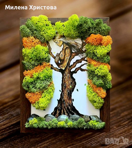 Картина със скандинавски мъх и камъчета , снимка 1