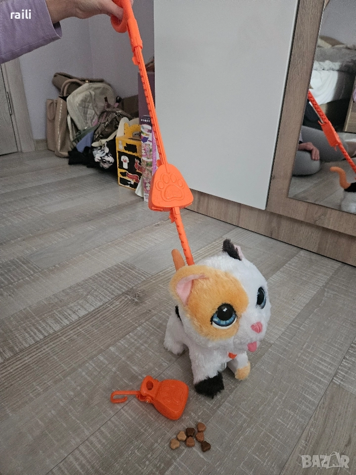 Коте, домашен любимец, снимка 1