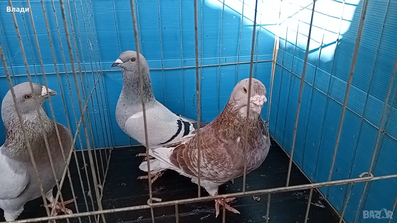 Стандартни пощенски, снимка 1