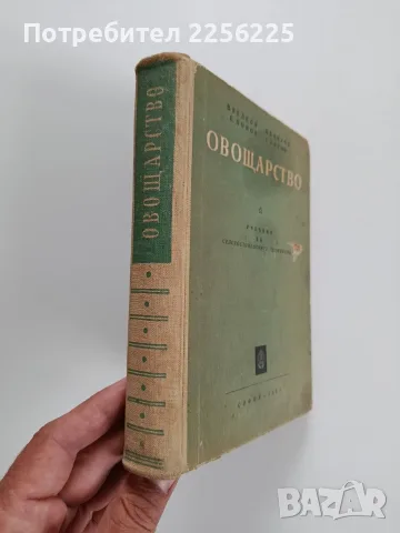 Овощарство 1959г, снимка 2 - Специализирана литература - 56270346