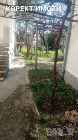 ПРОДАВА две КЪЩИ в един двор в село Върбак, снимка 5 - Къщи - 53823928