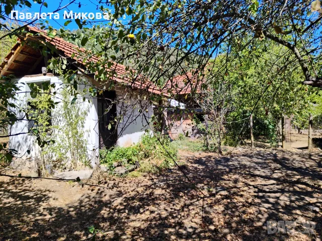 ДИРЕКТНО ОТ СОБСТВЕНИК! Масивна къща с 1.5 дка равен двор на 1 час път от София, снимка 6 - Вили - 56245639