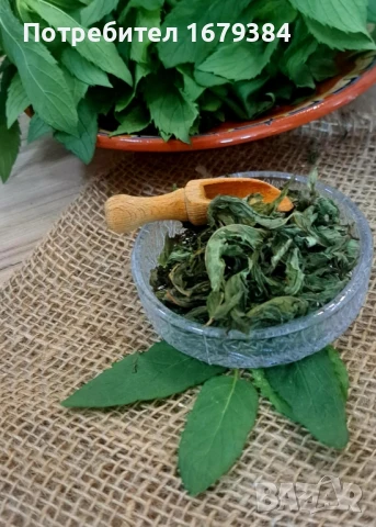 Джоджен от Родопите