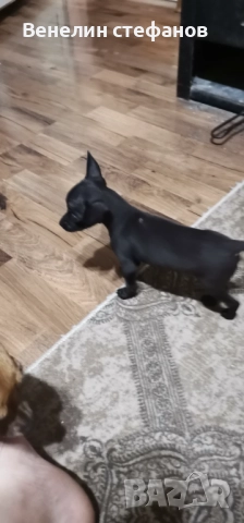 Продават се